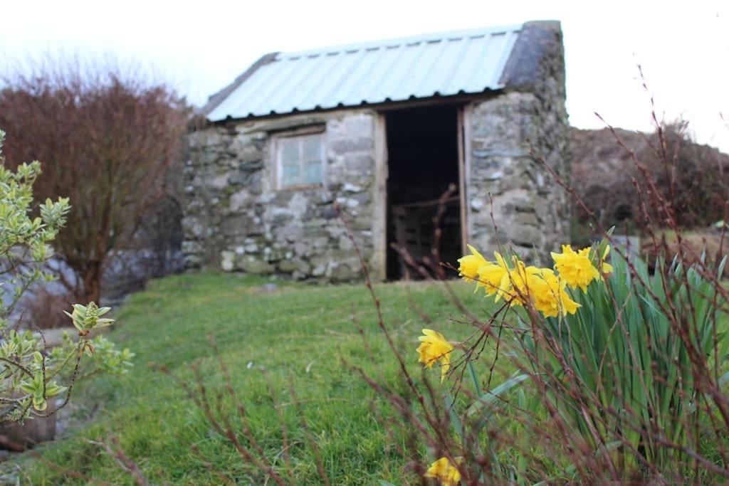 4 Bedroom Traditional Irish Farm House Killybegs ドネゴール エクステリア 写真